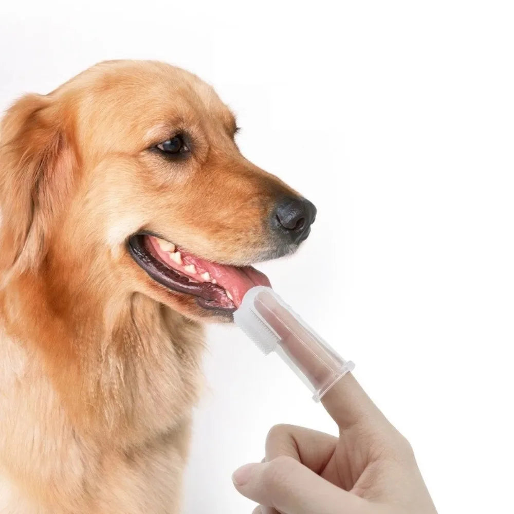 Super Soft Pet Finger Toothbrush Teddy Dog Brush Bad Breath Tartar Teeth Care Tool Dog Cat Cleaning Silicagel Pet Supplies